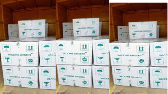 15 Boxes Of Covaxin Vaccines Arrives In Bhubaneswar