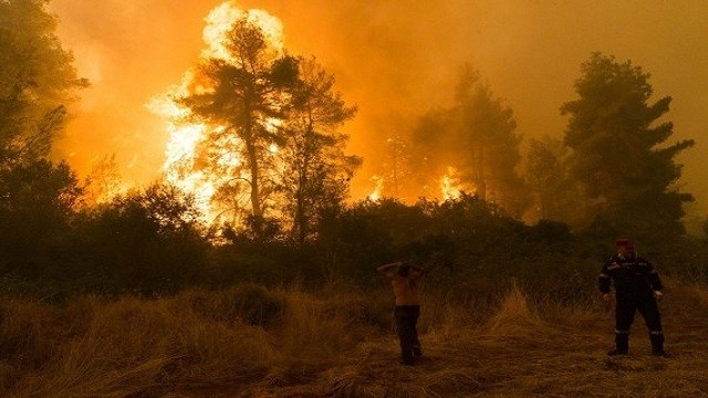 algeria wildfires