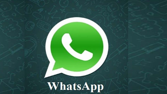 WhatsApp In-App Business Directory