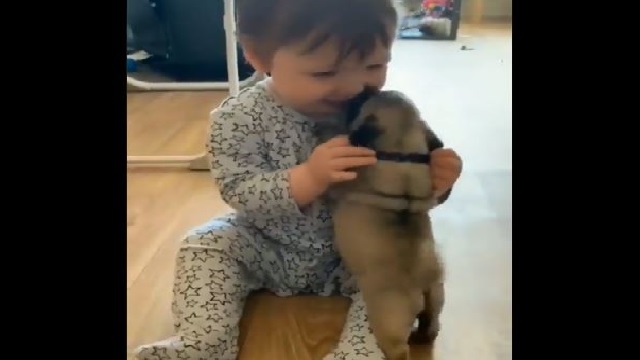 Baby playing with puppy goes viral