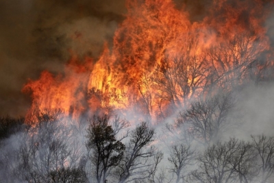 Over 1,600 firefighters battle new blaze in California