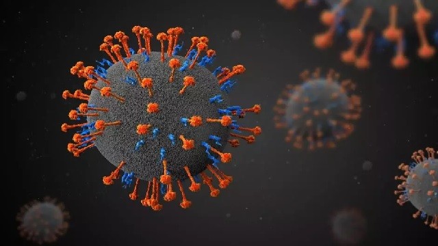 h3n2 virus risk