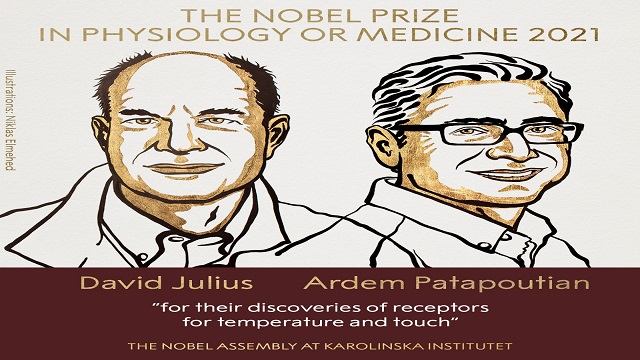 2021 Nobel for Medicine