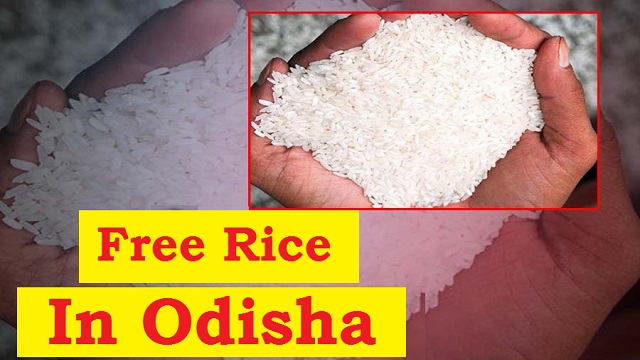 Free rice in odisha
