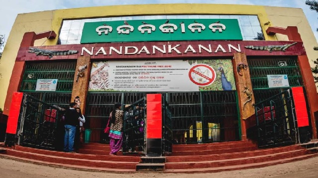nandankanan to open at night