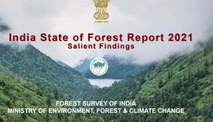 Odisha gains 537 sq km of Forest Cover