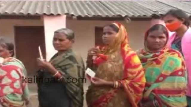 Brajrajnagar bypoll turnout