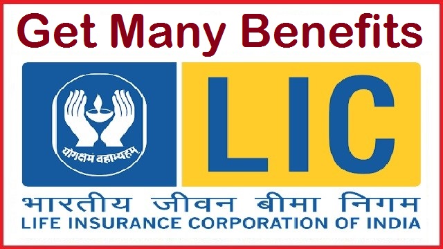 LIC Money Back Dhan Rekha policy