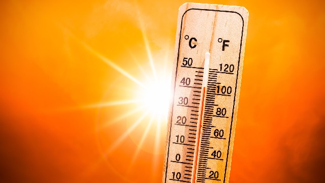 temperature in odisha