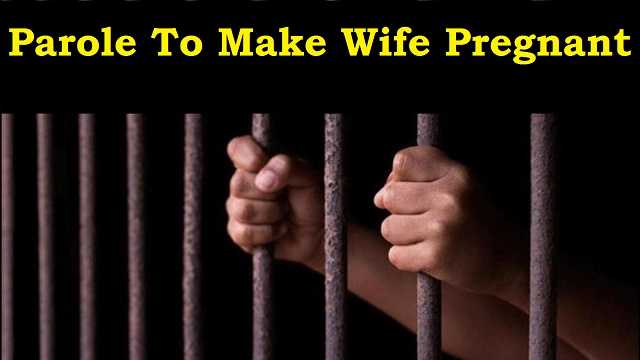 Parole to make wife pregnant