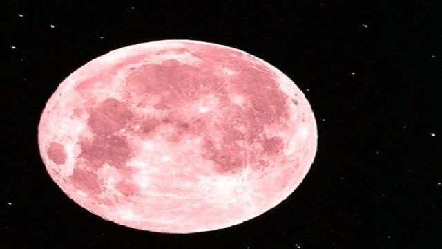 pink moon today