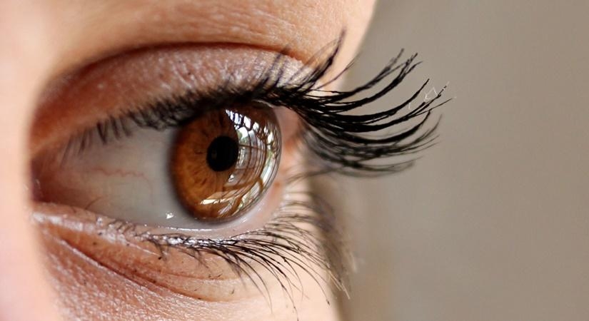 Eye camps banned in Kanpur after 8 lose eyesight