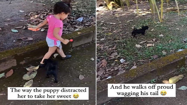 puppy distracts little girl