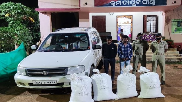 ganja seized in odisha