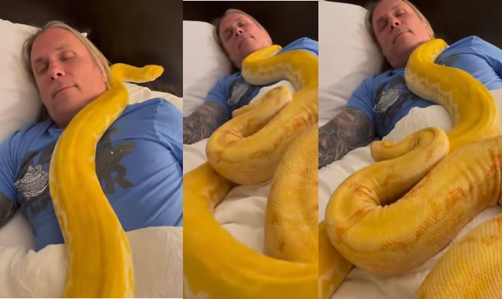 Snakes crawl over sleeping man, video goes viral: Watch
