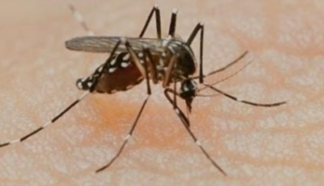 Dengue death in Bhubaneswar