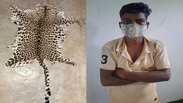 leopard skin seized in Koraput