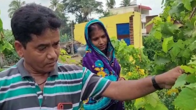 Auto driver successfully grows grapes