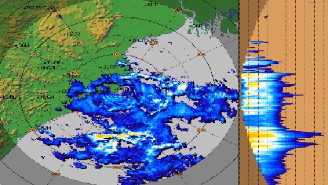 odisha rainfall today