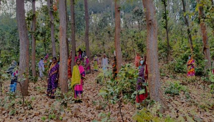 The guardian angels of Odisha's Gundalba forests