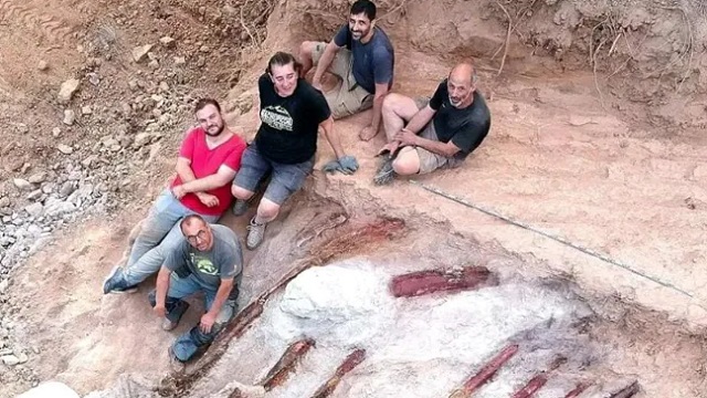 Portugese Man Finds Dinosaur Skeleton In His Backyard