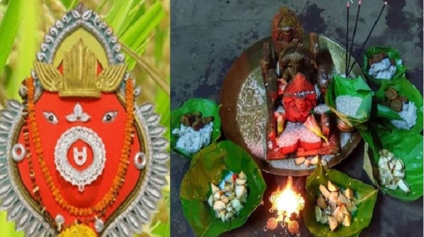 Sambalpur: New crop for Goddess Samleswari arrives