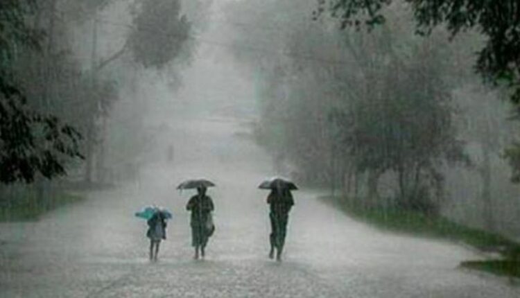 rain thunderstorm in odisha