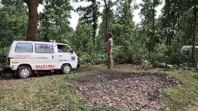 Odisha: Body of Newborn Baby Found In Forest In Mayurbhanj District