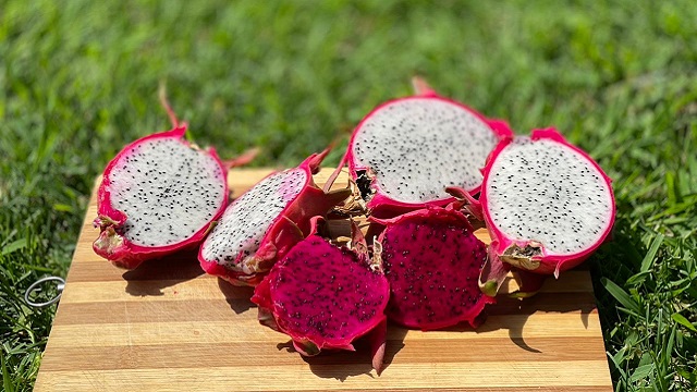 Youthful skin to strong hair: Details about benefits of dragon fruit