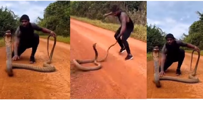 Man narrowly escapes getting beaten by huge king cobra