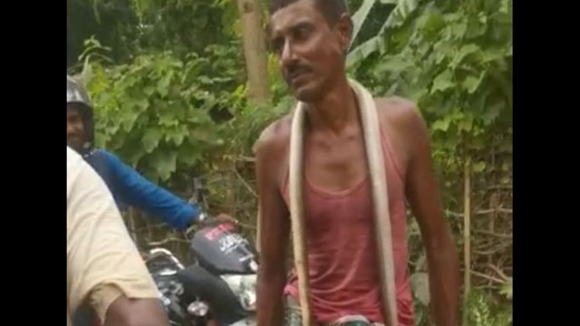 man bites snake in balasore
