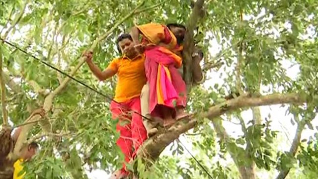 Bhubaneswar: Woman attempts suicide by climbing on tree infront of Naveen Nivas, rescued