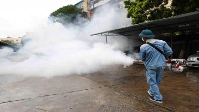Vietnam reports 260,000 dengue cases; 102 deaths this year