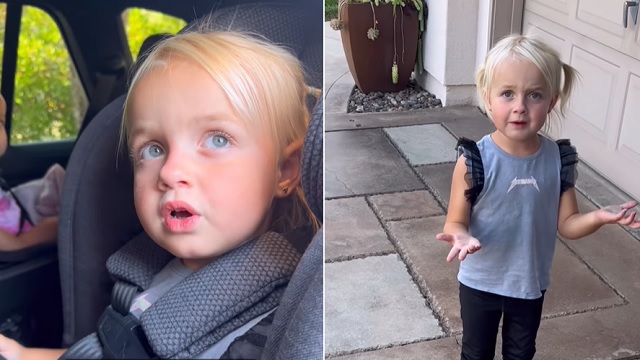 toddler's reaction to mom's pregnancy reveal