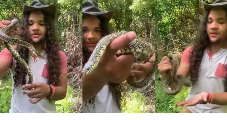 speckled king snake viral video