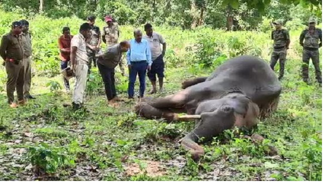 Another Elephant carcass found in Mayurbhanj of Odisha