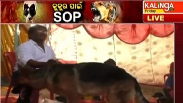 Bhubaneswar: BMC To Come Up With Guidelines On Pet Animal
