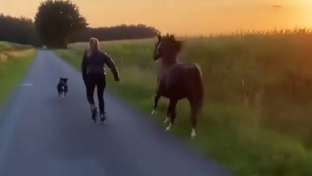 woman skating with dog and horse