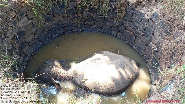 Female Elephant falls into well, dies in Mayurbhanj of Odisha