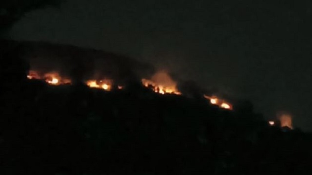 Fire breaks out at Barunei hill in Khordha