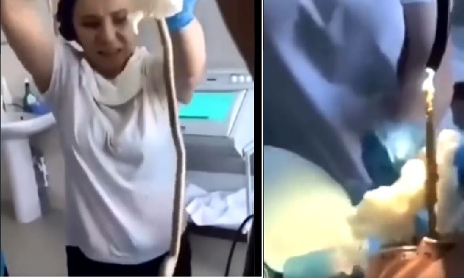 snake removed from woman's stomach