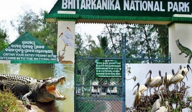 Bhitarkanika National Park closed for visitors