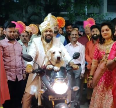 Groom Enters With His Pet Dog On A Bike