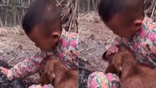 child helps baby goat stay warm