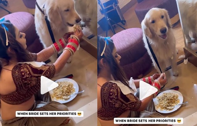 indian bride takes a break to feed her dog