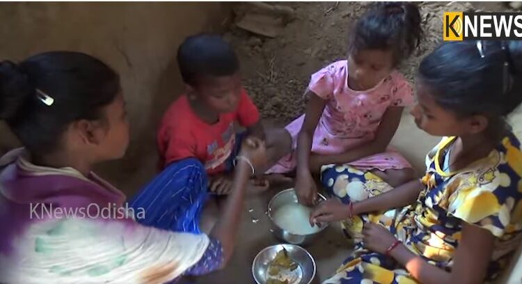 4 orphan kids struggling for food