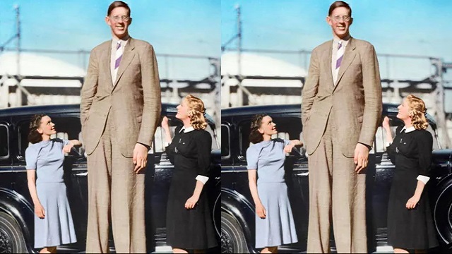 world's tallest man