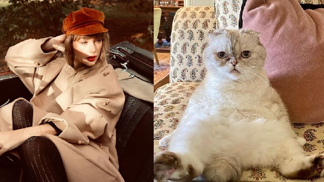 taylor swift owns richest cat