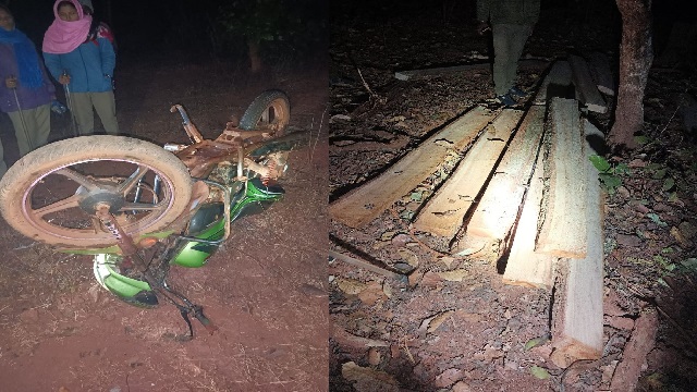 Wood mafias attack forest officials in Odisha