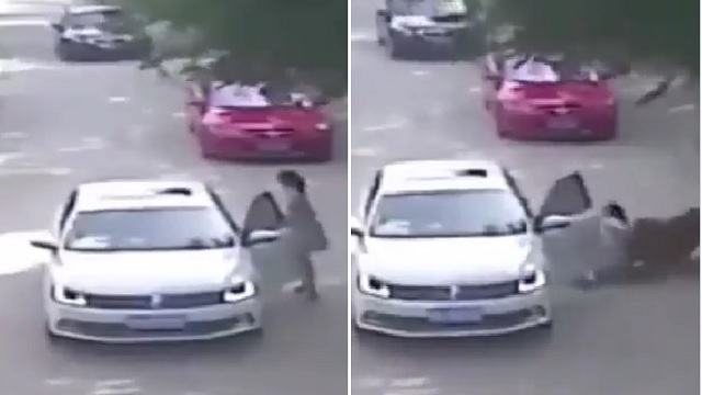 Tiger drags woman from car